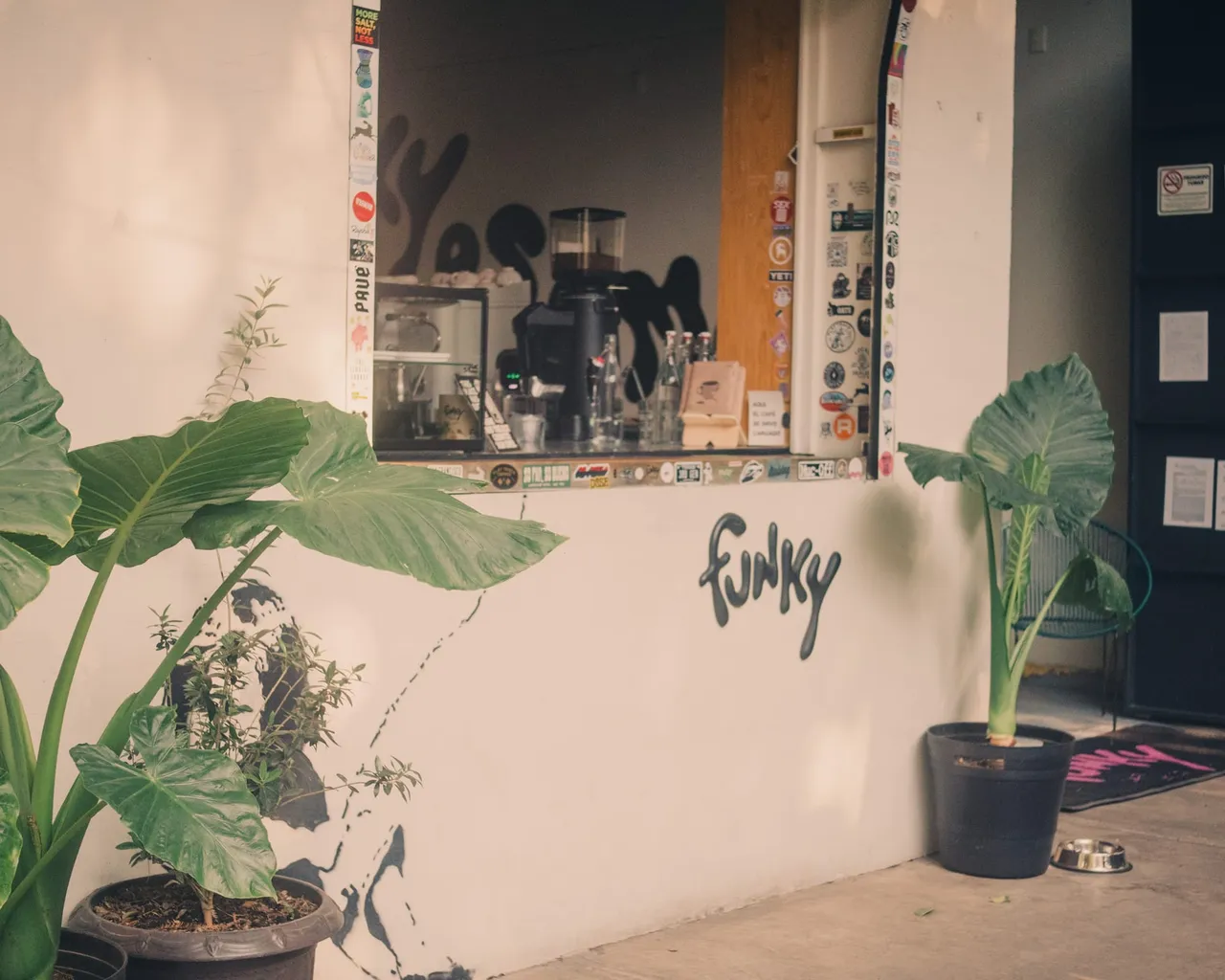 A coffee bar outside and a few plants